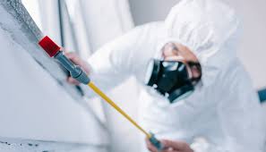 Best Residential Pest Control  in Morrow, OH